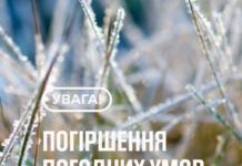 На Вінниччині прогнозують заморозки: ДСНС попереджає про жовтий рівень небезпечності