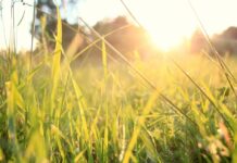 У Вінниці 3 вересня — сонячний день без опадів