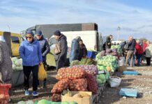 У Щітках стартує сільськогосподарський ярмарок Вінницької громади