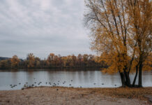 Сьогодні у Вінниці опадів не очікується