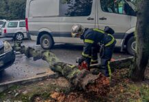 На Вінниччині рятувальники тричі виїжджали на виклики через негоду і прибирали впалі дерева