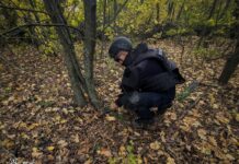 У Погребищі сапери ДСНС знищили гранату часів Другої світової війни