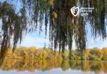 Результати моніторингу радіаційного фону та якості питної води на Вінниччині