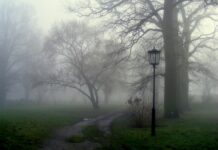 На Вінниччині оголосили попередження про туман