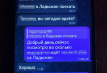СБУ та поліція затримали коригувальницю ударів по енергетиці Вінниччини