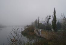 Туман на Вінниччині: оголошено жовтий рівень небезпеки