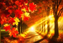 Погода у Вінниці на суботу, 11 жовтня