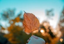 Прогноз погоди у Вінниці 16 жовтня