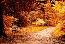 Погода у Вінниці 1 листопада