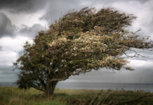 На Вінниччині очікується погіршення погодних умов