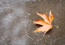 У Вінниці 6 жовтня очікується прохолодна й дощова погода