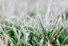 Вночі 17 жовтня на Вінниччині заморозки 0–2° на ґрунті