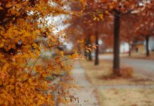 Погода у Вінниці 13 жовтня: дощова ніч і хмарний день