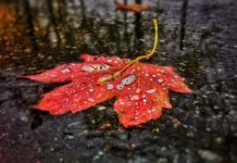 Погода у Вінниці в суботу, 25 жовтня