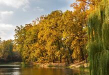 Погода у Вінниці у понеділок, 20 жовтня