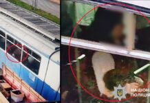 У Вінниці дівчина обікрала пенсіонерку, в якої просила «поїсти»