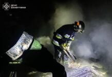 На Вінниччині за добу сталося п’ять пожеж
