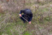 Піротехніки з Вінниччини щодня розміновують звільнені території Херсонщини
