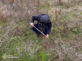 Піротехніки з Вінниччини щодня розміновують звільнені території Херсонщини