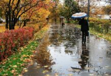 Погода у Вінниці 23 листопада: сильні опади та хмарний день