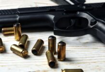 На Вінниччині поліцейські задекларували понад 460 одиниць зброї