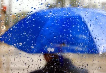 Погода у Вінниці на 11 листопада: дощ пройде до вечора