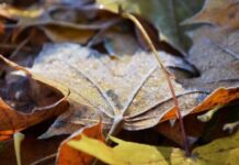 Якою буде погода у Вінниці 20 листопада