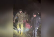 На Гайсинщині розшукали 88-річну жінку, яка добу пролежала у хащах