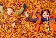 Зимові канікули у вінницьких школярів триватимуть три тижні