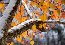 Погода у Вінниці на 24 листопада