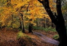 Погода у Вінниці на суботу, 8 листопада