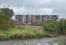 Через халатність керівника підприємства у Зарванцях забруднили понад 3 тисячі квадратів землі