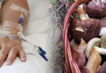 На Вінниччині 15-річна дівчина отруїлася грибами