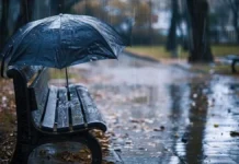 У Вінниці очікується хмарна погода та дрібний дощ