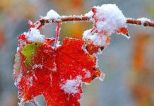 Погода у Вінниці 19 грудня: хмарно та без опадів