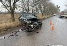 На Вінниччині з початку року в ДТП загинули 142 людини