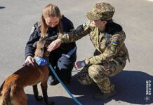 Ми поряд, ми свої: як психологи Нацгвардії допомагають військовим після фронту