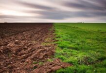 Прокуратура повернула 180 га землі Мурафській громаді