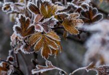 Прогноз погоди у Вінниці на 22 грудня