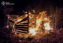 На Вінниччині за добу ліквідували три пожежі