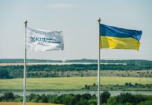 Від ідеї до спільних проєктів: як МХП посилює українські громади