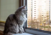 Погода у Вінниці на суботу, 13 грудня