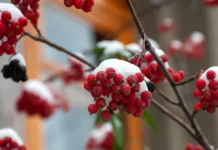 Прогноз погоди у Вінниці 2 грудня