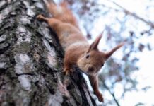 Похмуро, але без опадів: якою буде погода у Вінниці 7 грудня