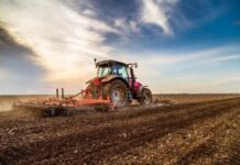 Урожай на Вінниччині перевищив торішні показники, аграрії готуються до завершення сезону