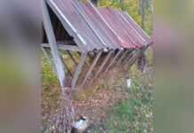 На Вінниччині перевірили зимові підгодівельні майданчики для диких тварин