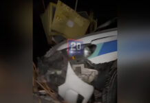 У Вінниці сталася ДТП за участі автомобіля Вінницької ОВА: ВІДЕО