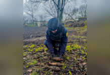 На Вінниччині сапери ДСНС знищили три мінометні міни