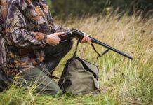 На Вінниччині стартує регульований відстріл хижаків: де і коли проходитимуть заходи