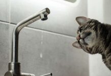 У Вінниці на добу призупинять водопостачання на вул. Зарічній